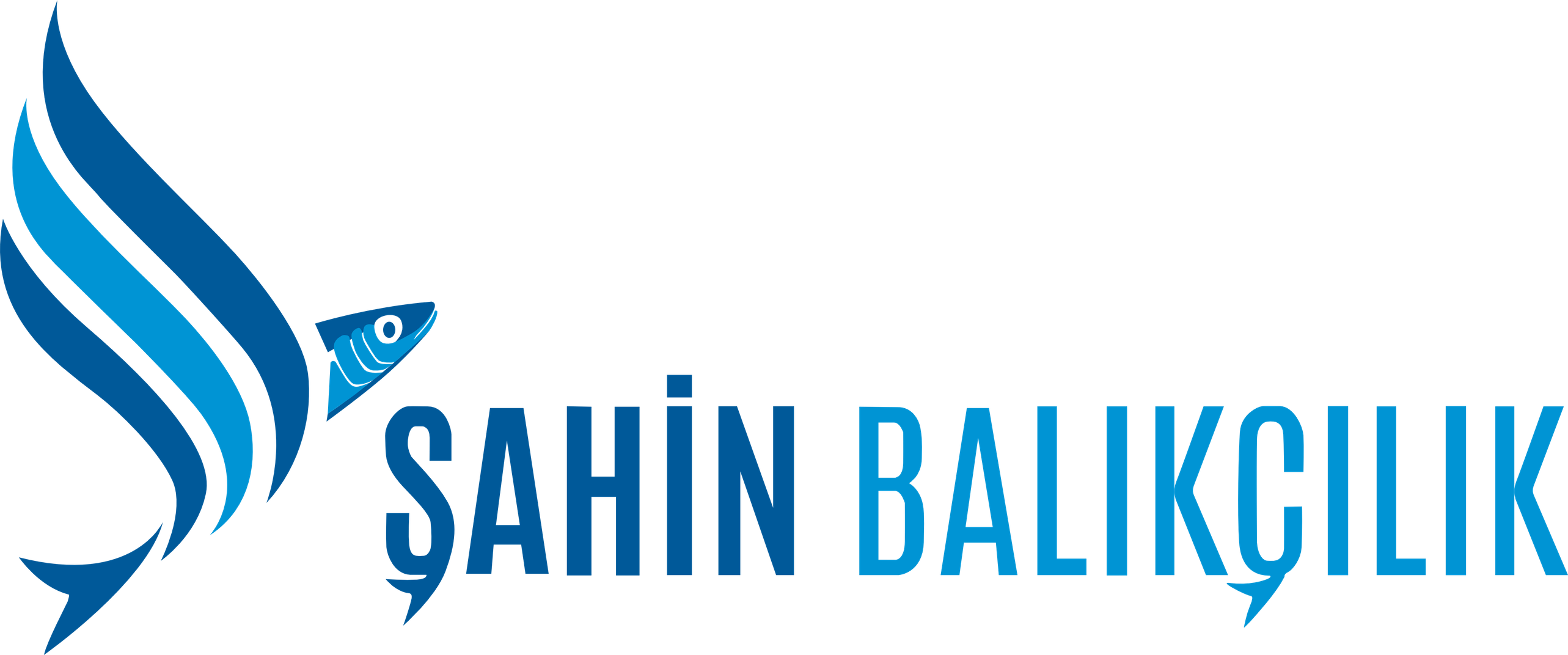 Sahin Balıkçılık
