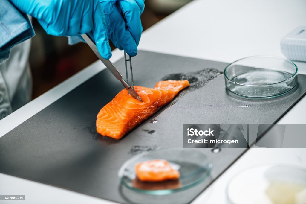 istockphoto-1317560214-1024x1024